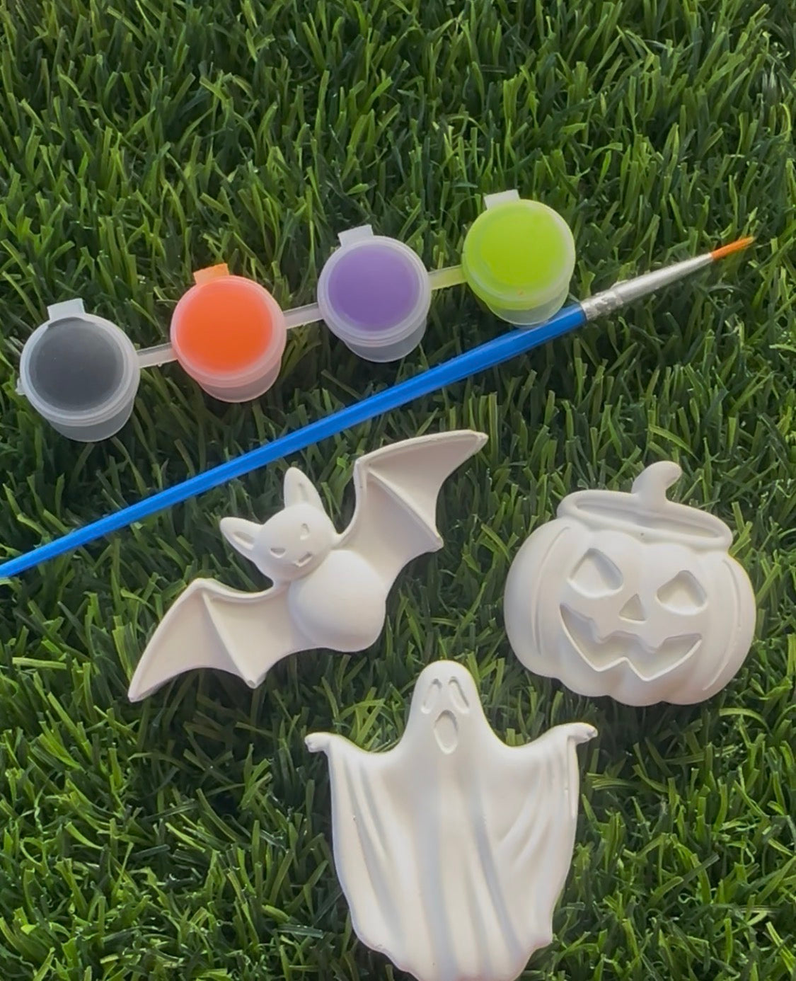 Halloween Paint Your Own Kits
