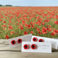 Poppy earrings with poppy field background